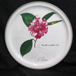 Villeroy & Boch Decorator Plate Camellia Canduifora Rubra