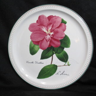 Villeroy & Boch Decorator Plate Camellia Douklaria