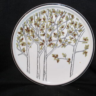 Mikasa Hill Top C8701 Dinner Plate