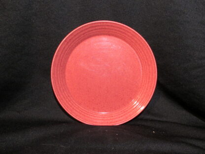 Mikasa Spice Terra Stone CN205 Salad Plate