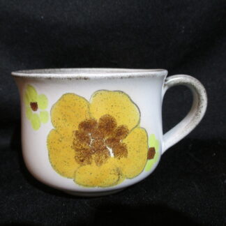 Denby Minstrel Teacup Only
