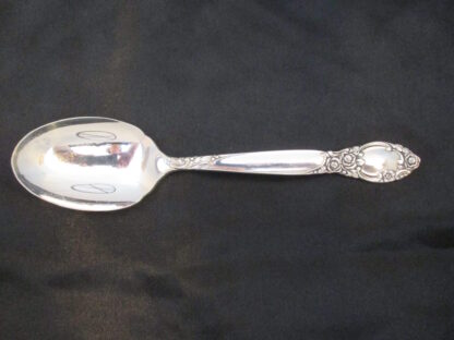 Community Ballad Country Lane Sugar Spoon