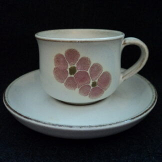 Denby Gypsy Cup & Saucer