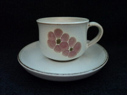 Denby Gypsy Cup & Saucer