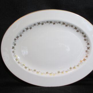 Royal Doulton Citadel TC1003 Oval Platter - 13 inch
