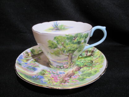 Shelley Woodland Cup & Saucer
