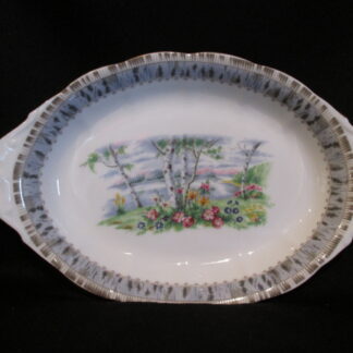Royal Albert Silver Birch Handled Regal Tray