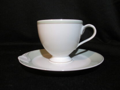Hutschenreuther Fleuron Printemps Cup & Saucer