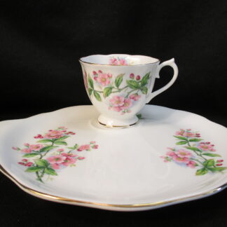 Royal Albert Evesham Round Hostess Set