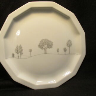 Rosenthal Winter Journey Salad Plate