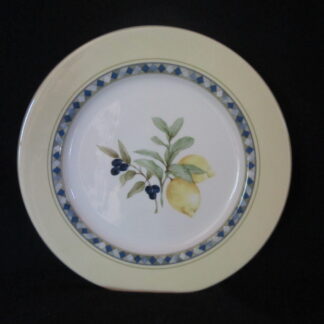 Royal Doulton Carmina TC1277 Dinner Plate