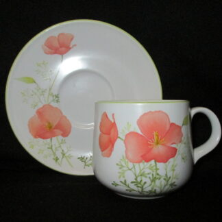 Noritake Bright Side 9079 Cup & Saucer