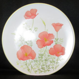 Noritake Bright Side 9079 Dinner Plate