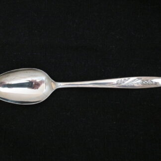 Community Song of Autumn Teaspoon