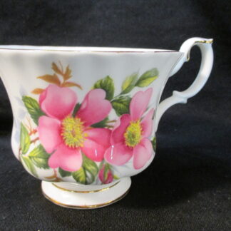 Royal Albert Prairie Rose Teacup Only