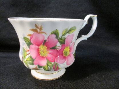 Royal Albert Prairie Rose Teacup Only