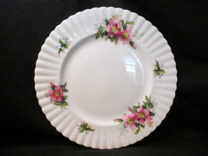 Royal Albert Prairie Rose Dinner Plate