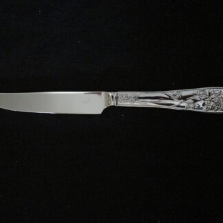 Mikasa Roselle Dinner Knife