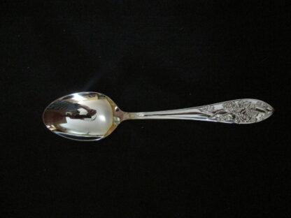 Mikasa Roselle Soup or Dessert Spoon