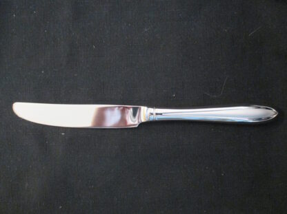 Mikasa Satin Dinner Knife