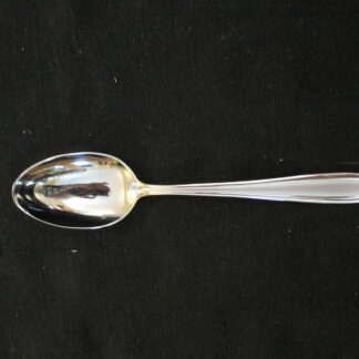 Mikasa Satin Teaspoon
