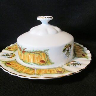 Royal Albert Knotty Pine Covered Butter Dish