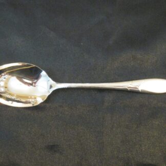 Community Lady Hamilton Sugar Spoon