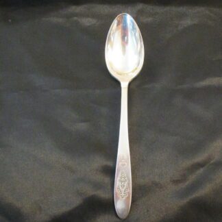 Oneida Bird of Paradise Soup Or Dessert Spoon