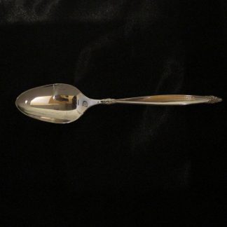 International Garland Teaspoon