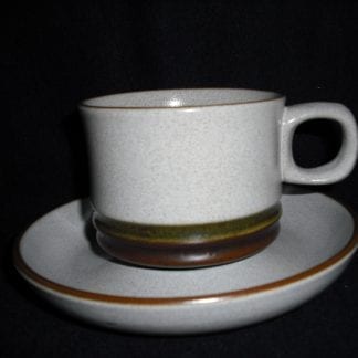 Denby Potters Wheel Green Cup & Saucer
