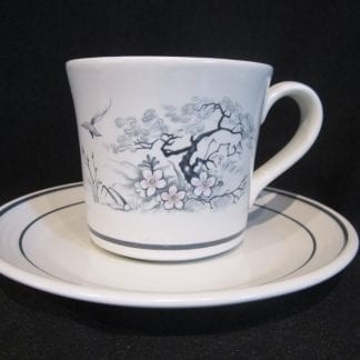 Royal Doulton Asian Dawn LS1032 Cup & Saucer
