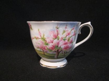 Royal Albert Blossom Time Round Hostess Set - Image 2