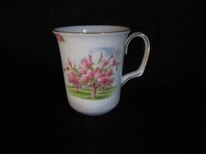 Royal Albert Blossom Time Bristol Coffee Mug