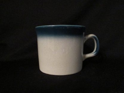 Wedgwood Blue Pacific Teacup Only