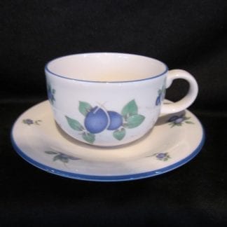 Royal Doulton Blueberry TC1204 Cup & Saucer