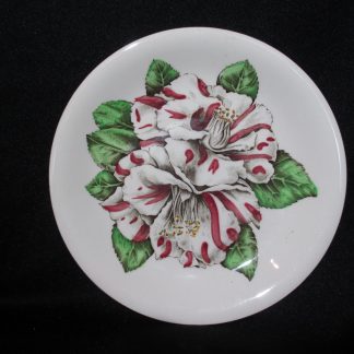 Johnson Brothers Camellia Bread & Butter Plate