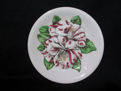 Johnson Brothers Camellia Bread & Butter Plate