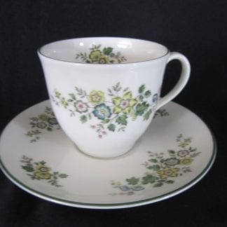 Royal Doulton Campagna TC1078 Cup & Saucer