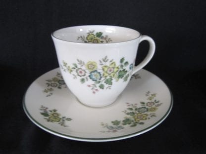Royal Doulton Campagna TC1078 Cup & Saucer