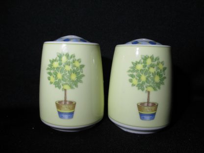 Royal Doulton Carmina TC1277 Shaker Salt & Pepper