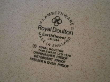 Royal Doulton Earthflower LS1034 Cup & Saucer - Image 2