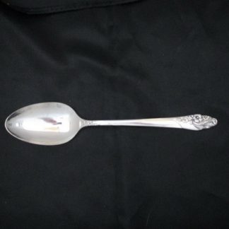 Oneida Evening Star Soup Or Dessert Spoon