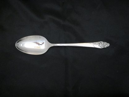Oneida Evening Star Teaspoon