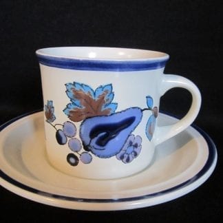 Royal Doulton Festival LS1010 Cup & Saucer