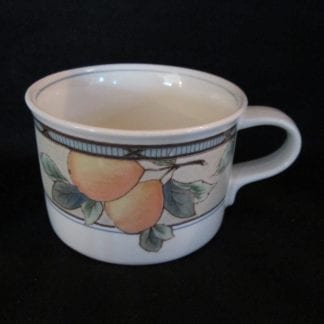 Mikasa Garden Harvest CAC29 Teacup Only