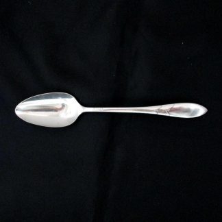 Community Lady Hamilton Teaspoon - Large