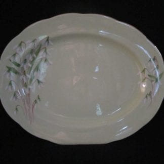 Royal Albert Laurentian Snowdrop Oval Platter - 15 inch