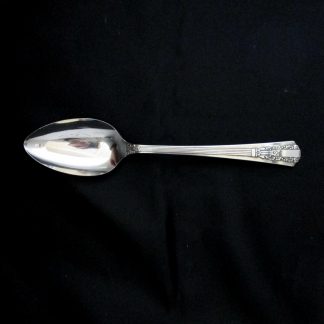 Oneida Lido Soup Or Dessert Spoon