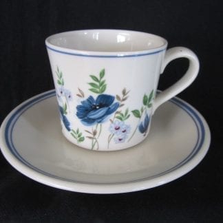 Royal Albert Meadow Song Cup & Saucer NEW