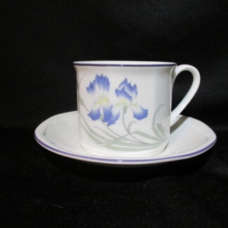 Royal Doulton Minerva Cup & Saucer